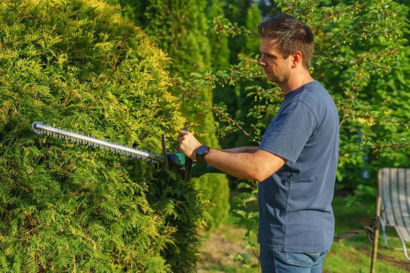 Gartenpflege: Mitarbeiter schneidet eine Hecke